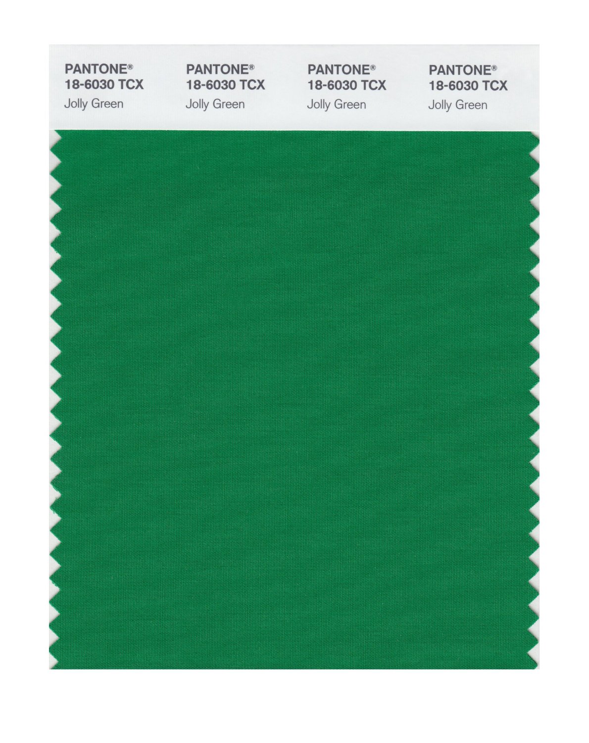 Pantone Cotton Swatch 18-6030 Jolly Green