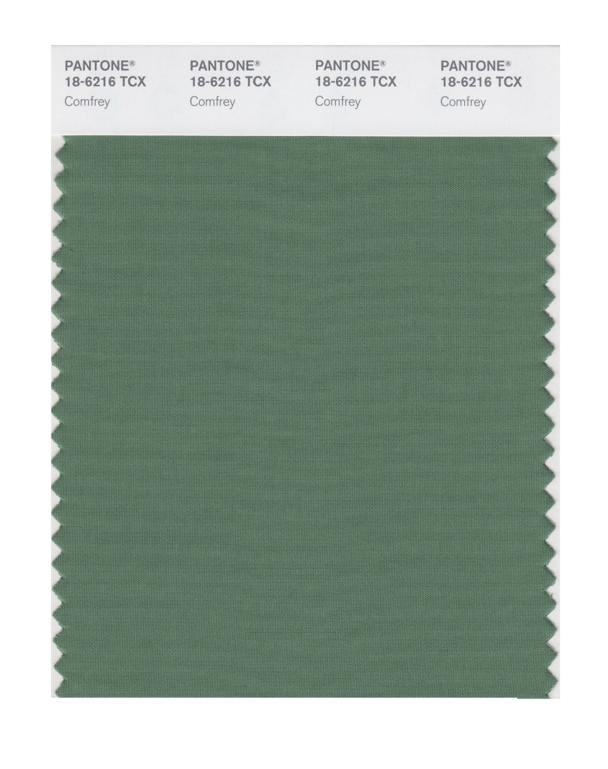 Pantone Cotton Swatch 18-6216 Comfrey