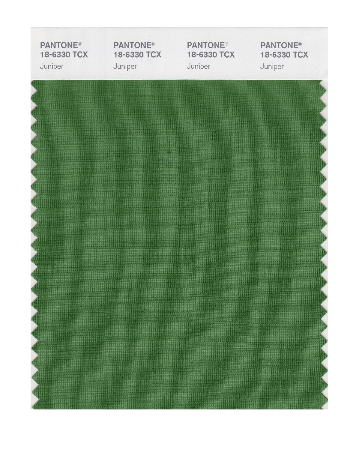 Pantone Cotton Swatch 18-6330 Juniper