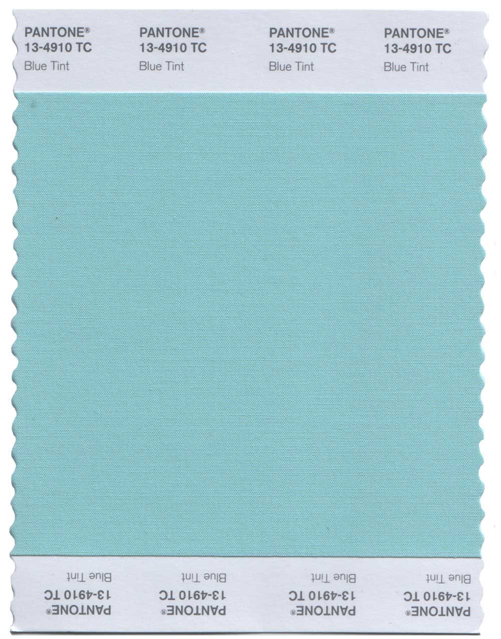 Pantone Original Swatch 18-5621 Fir