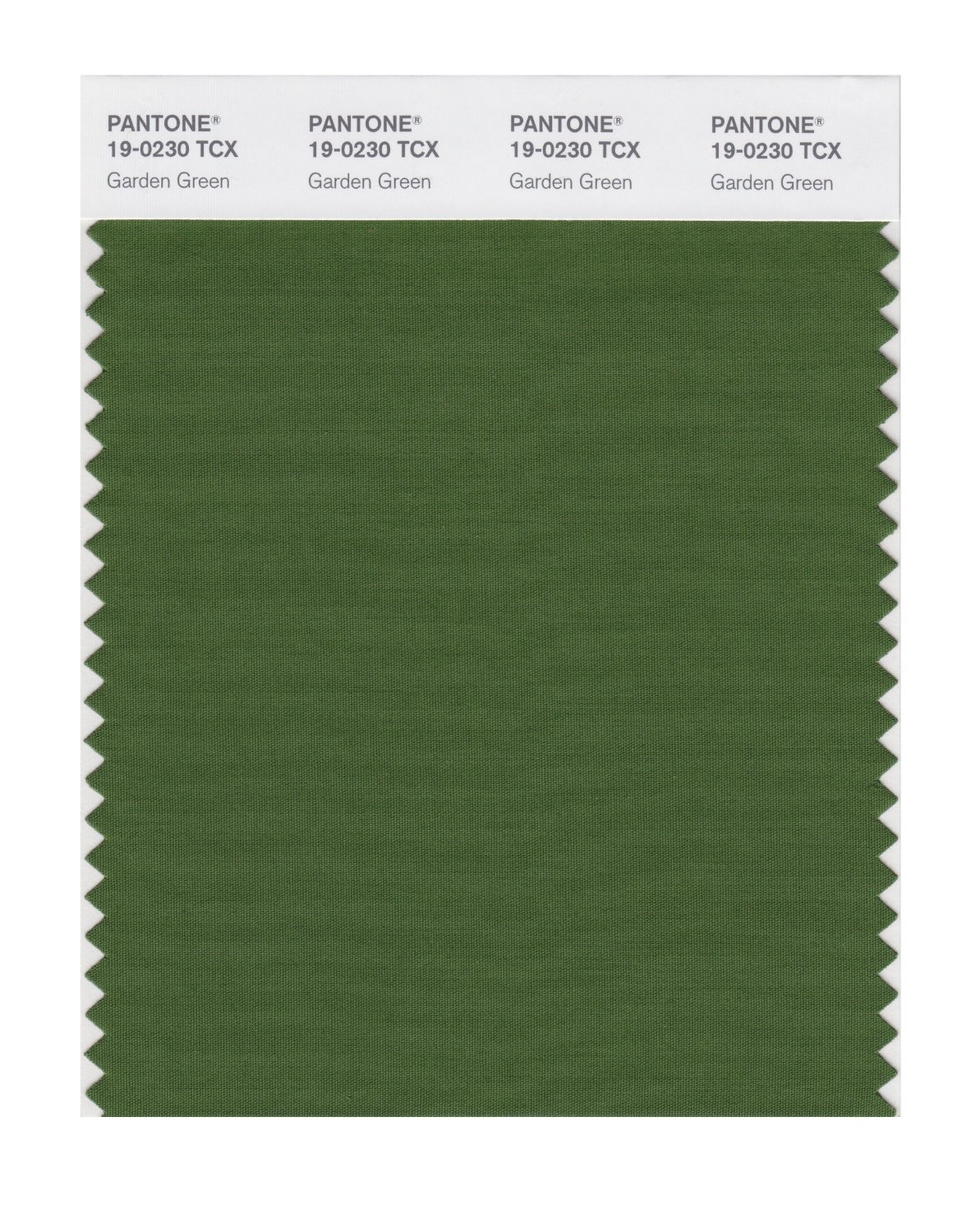 Pantone Cotton Swatch 19-0230 Garden Green