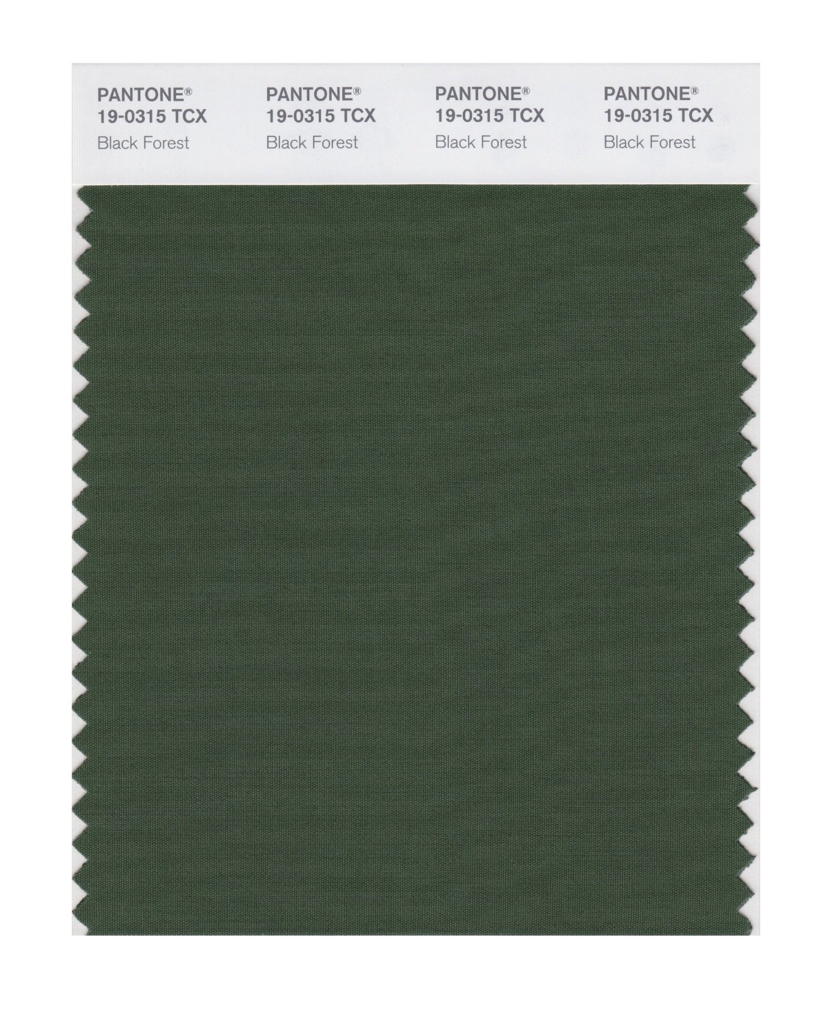 Pantone Cotton Swatch 19-0315 Black Forest