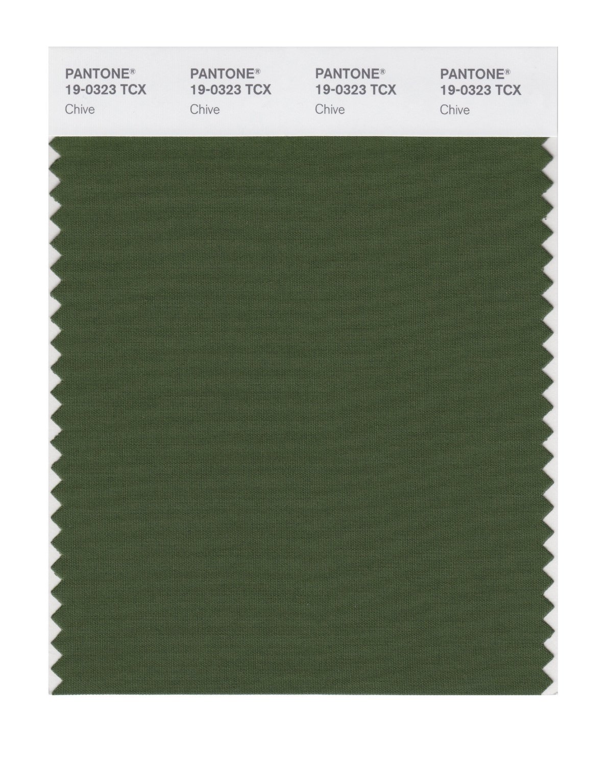 Pantone Cotton Swatch 19-0323 Chive