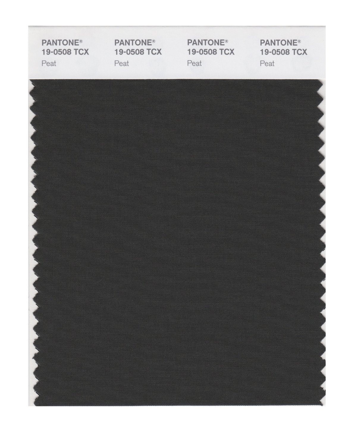 Pantone Cotton Swatch 19-0508 Peat