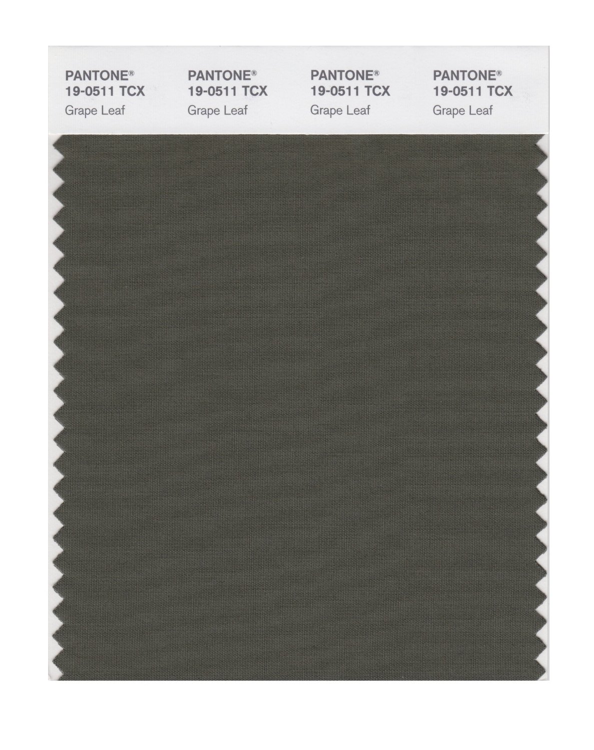 Pantone Cotton Swatch 19-0511 Grape Leaf