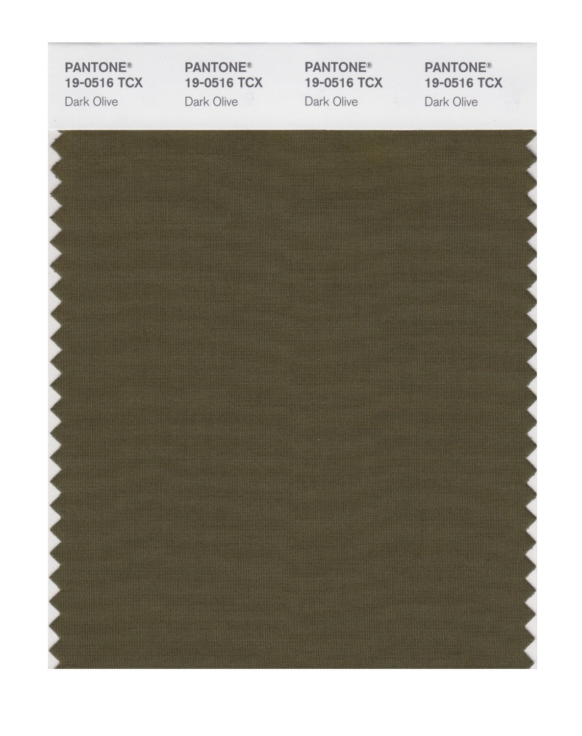 Pantone Cotton Swatch 19-0516 Dark Olive