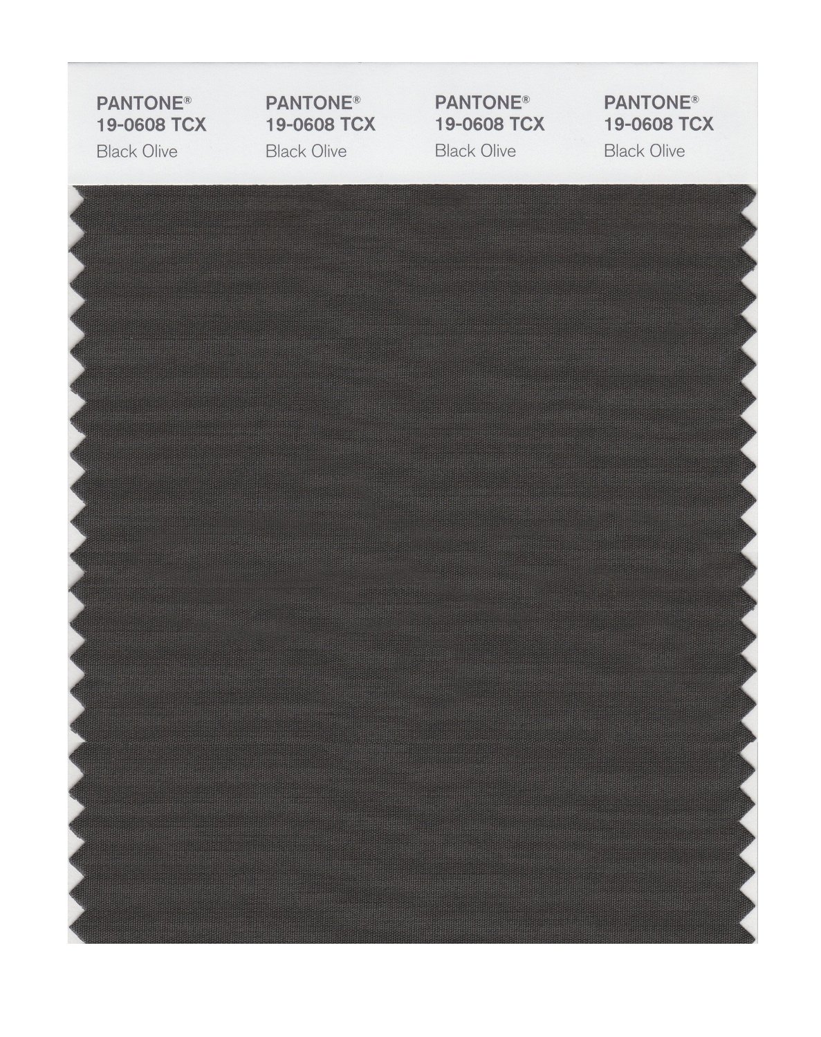 Pantone Cotton Swatch 19-0608 Black Olive