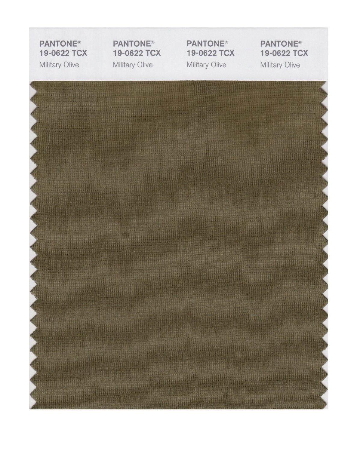 Pantone Cotton Swatch 19-0622 Military Olive