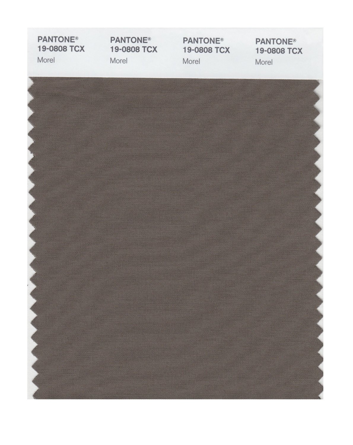 Pantone Cotton Swatch 19-0808 Morel