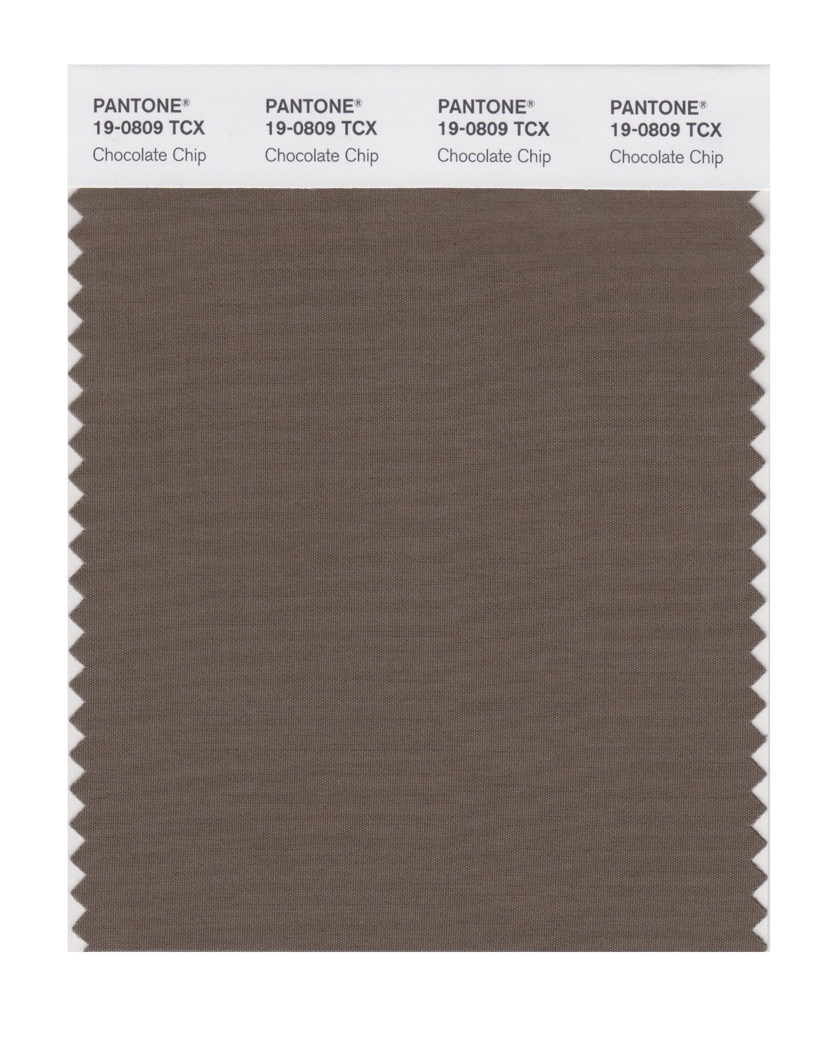 Pantone Cotton Swatch 19-0809 Chocolate Chip