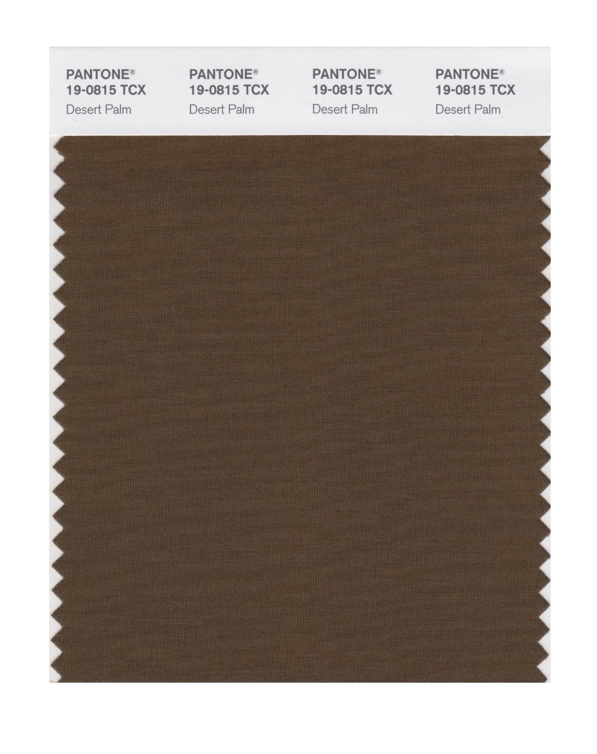 Pantone Cotton Swatch 19-0815 Desert Palm