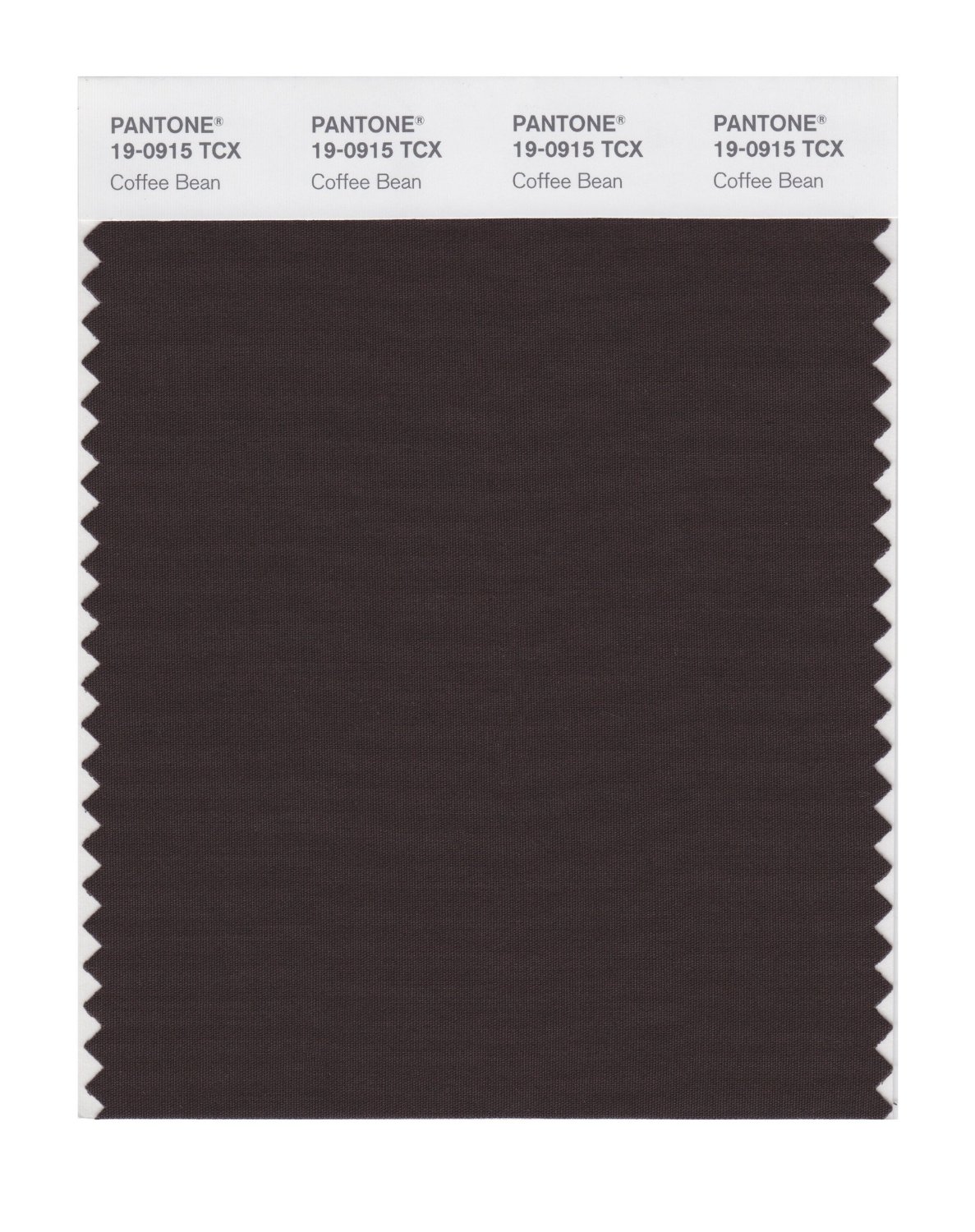 Pantone Cotton Swatch 19-0915 Coffee Bean