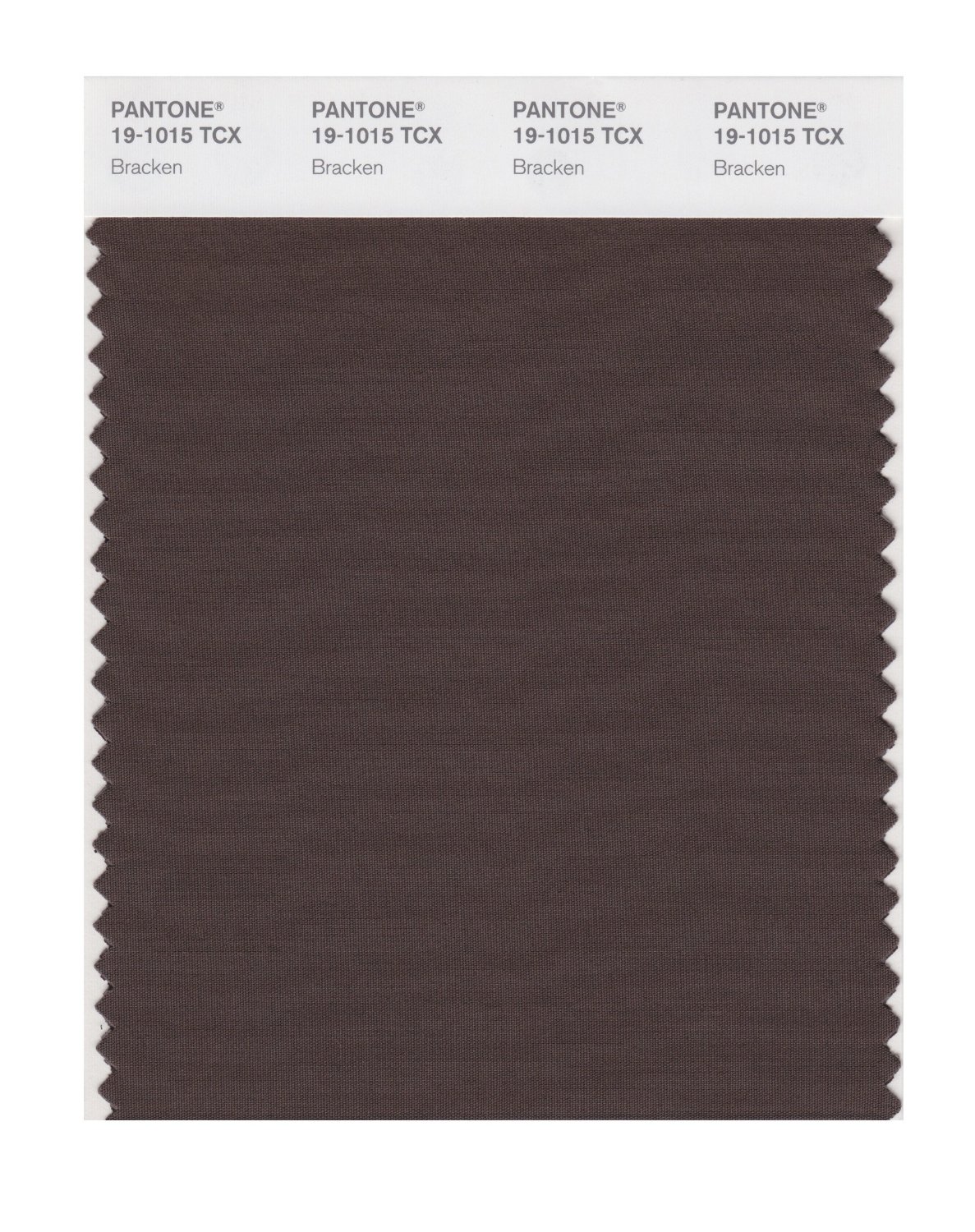 Pantone Cotton Swatch 19-1015 Bracken