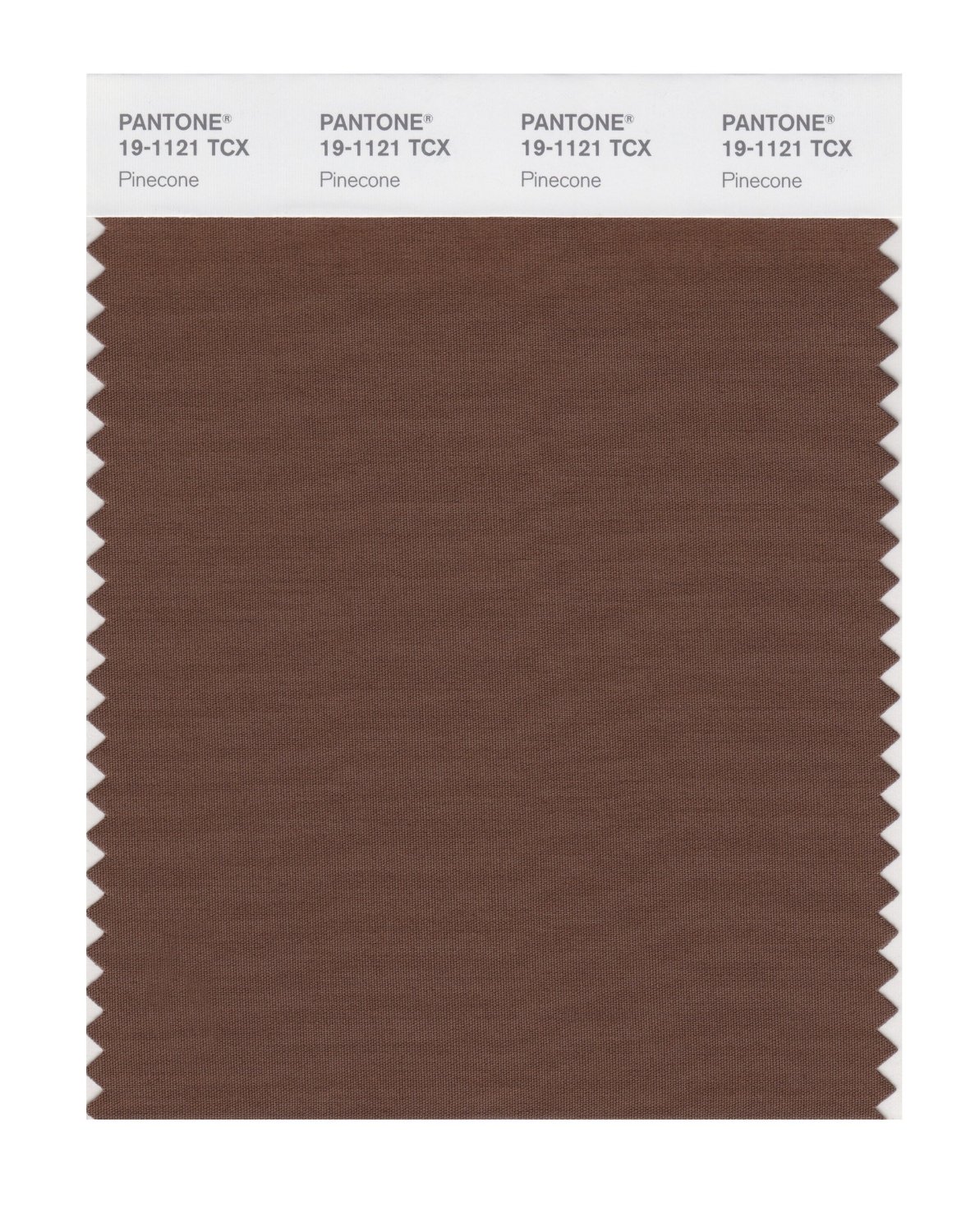 Pantone Cotton Swatch 19-1121 Pinecone