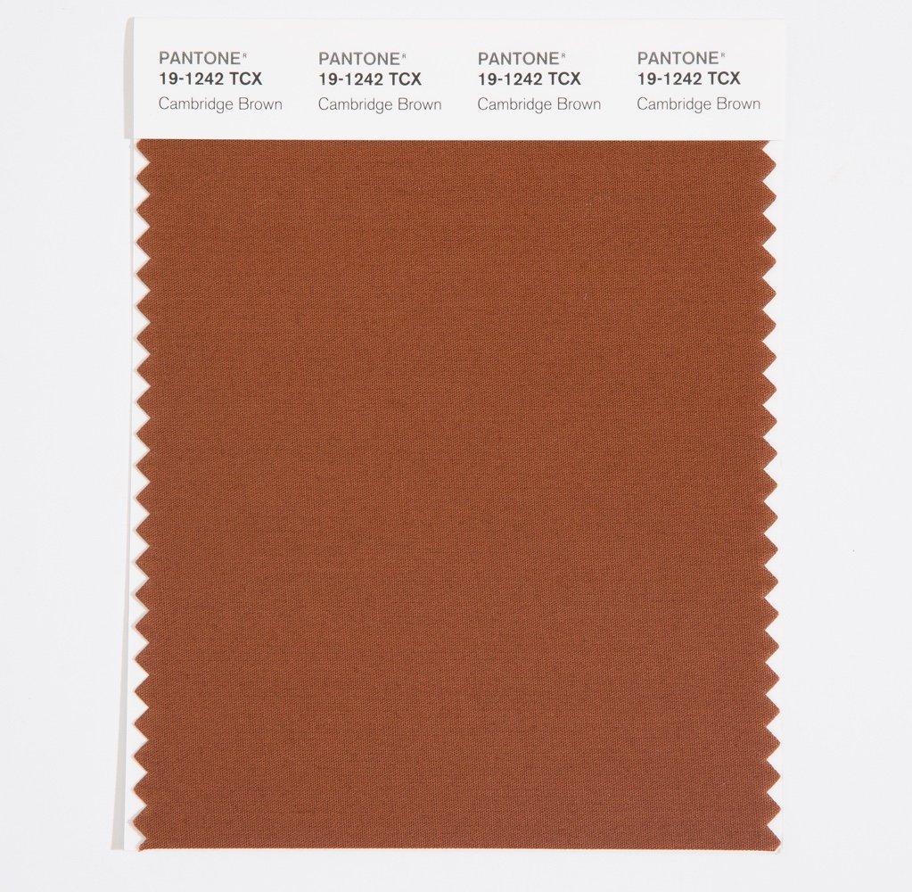 Pantone Cotton Swatch 19-1242 Cambridge Brown