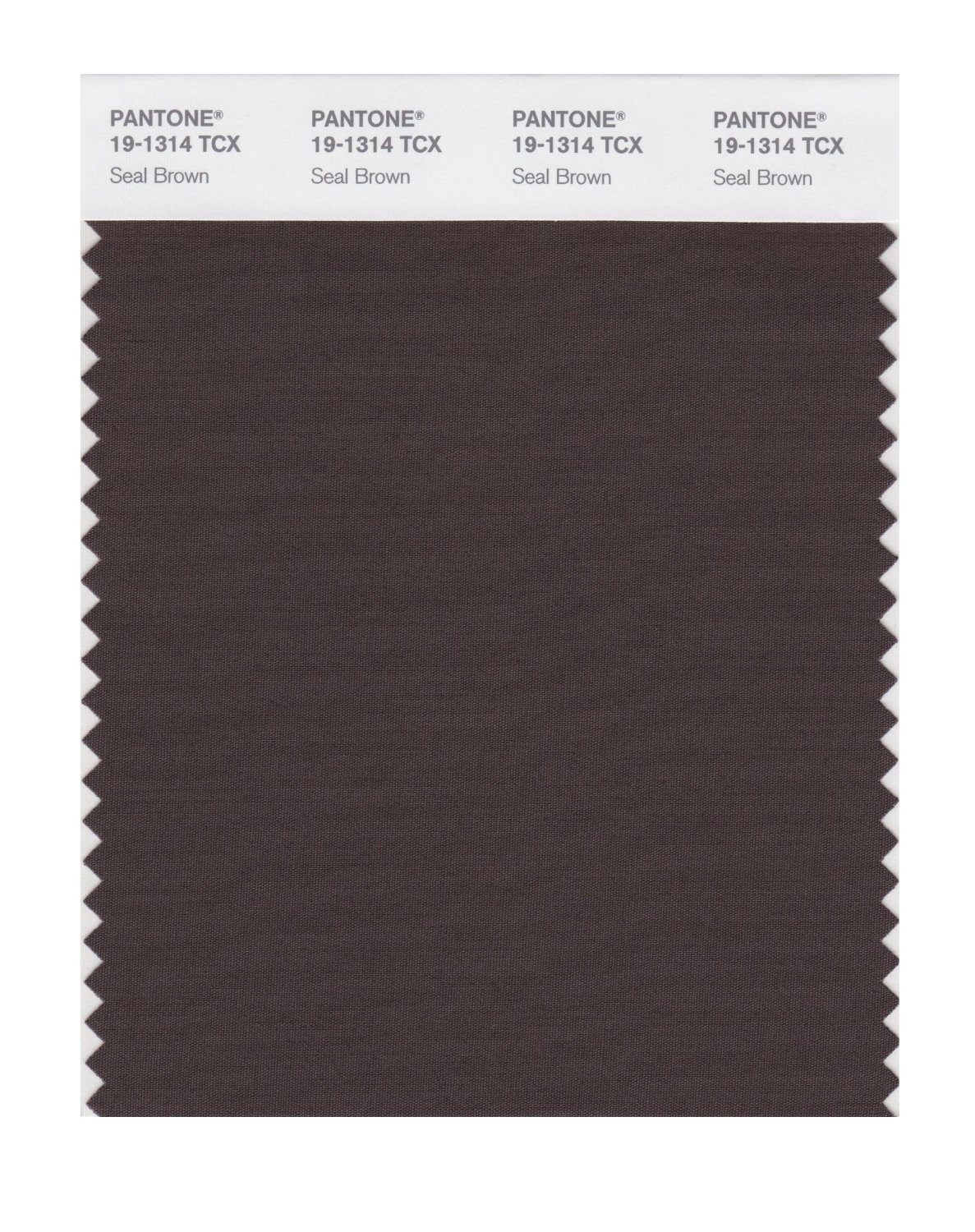 Pantone Cotton Swatch 19-1314 Seal Brown