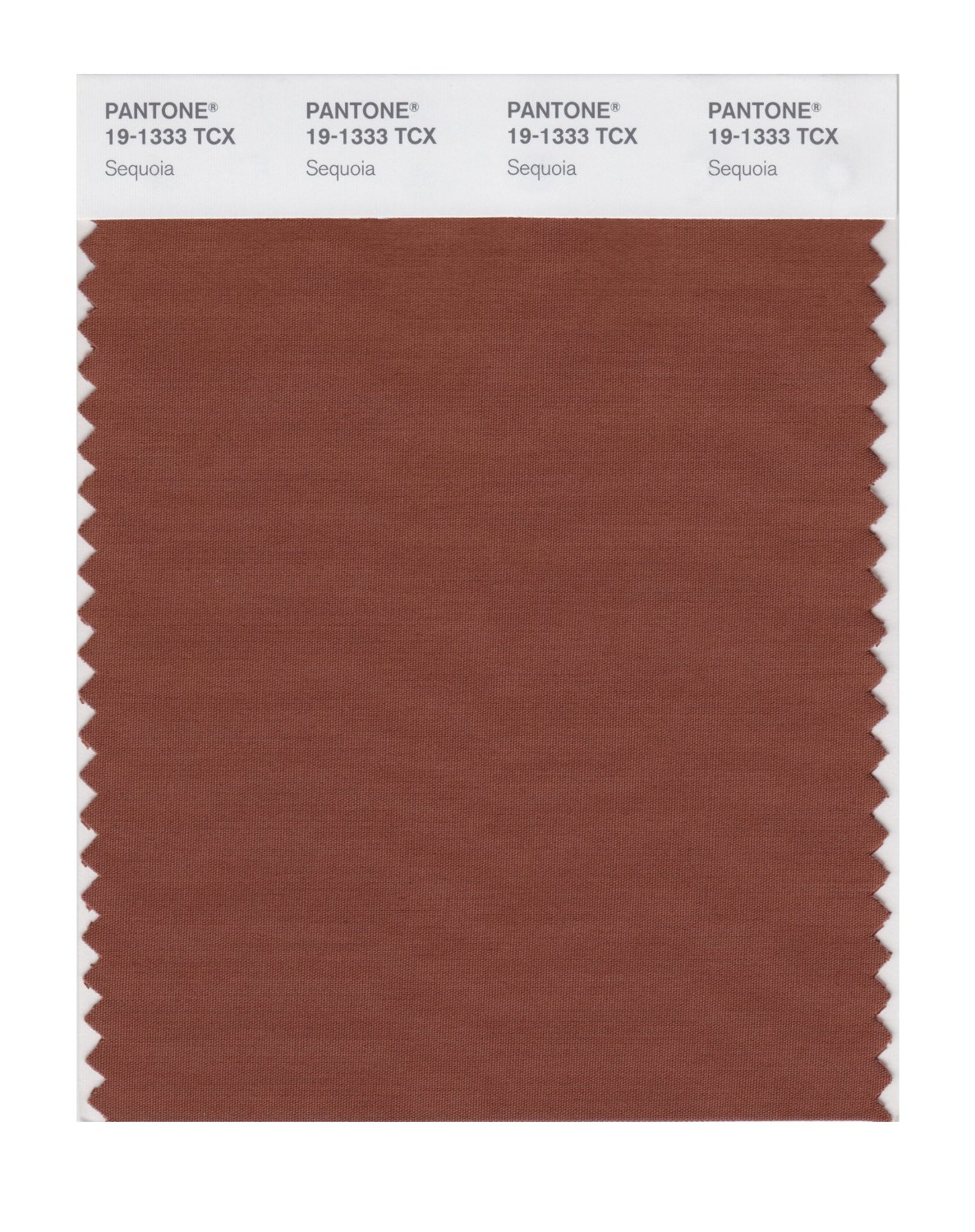 Pantone Cotton Swatch 19-1333 Sequoia