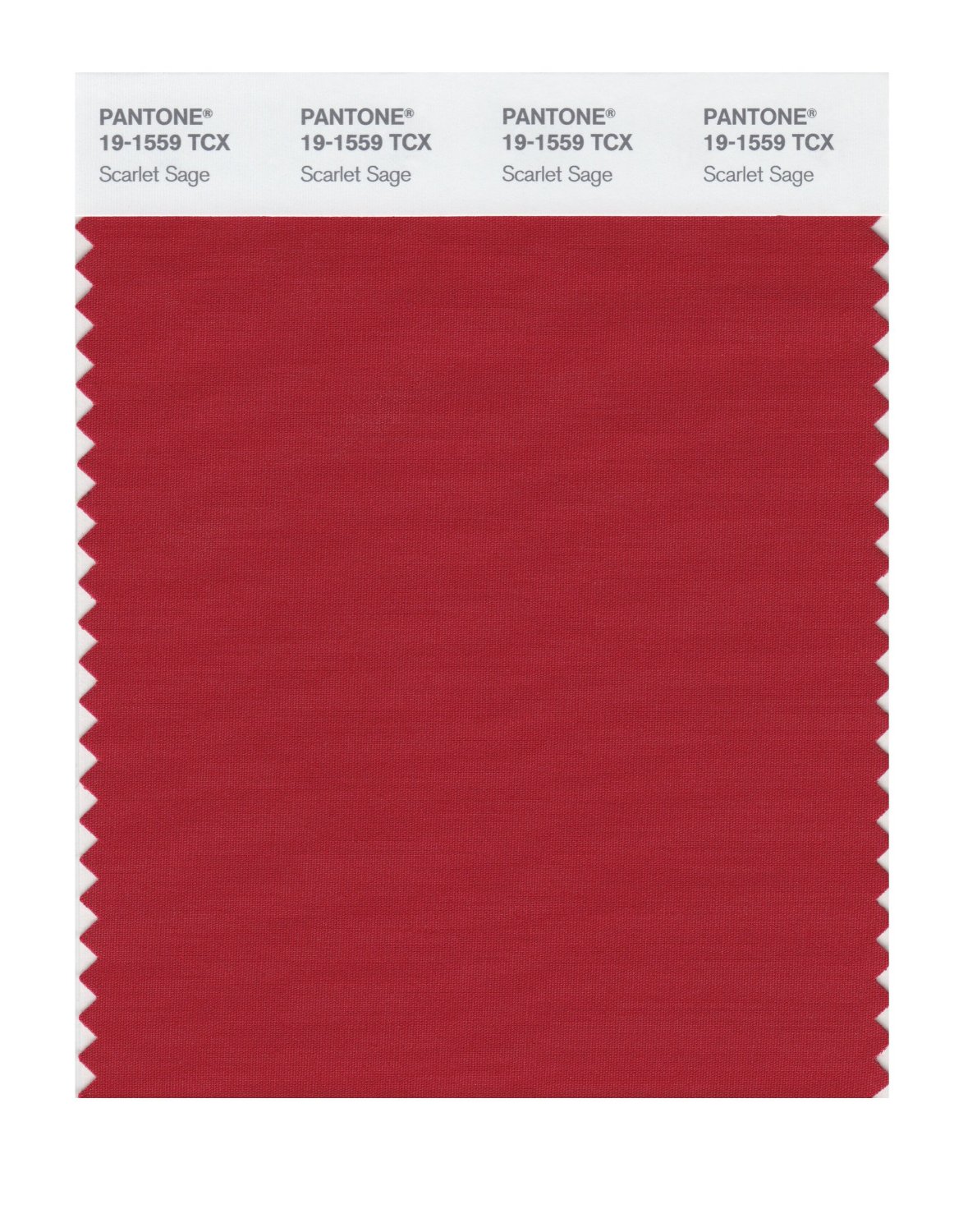 Pantone Cotton Swatch 19-1559 Scarlet Sage