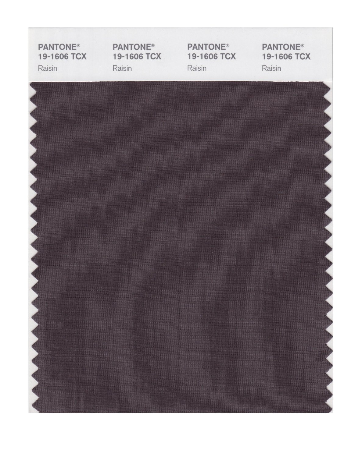 Pantone Cotton Swatch 19-1606 Raisin