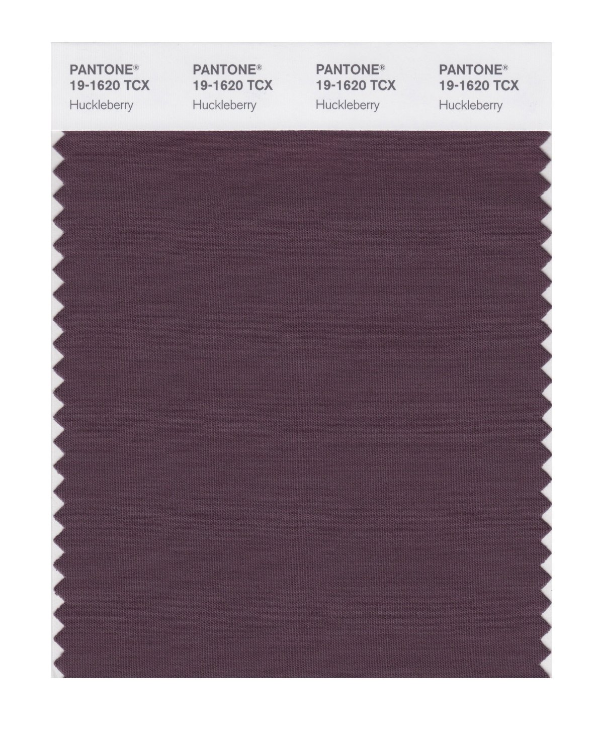 Pantone Cotton Swatch 19-1620 Huckleberry