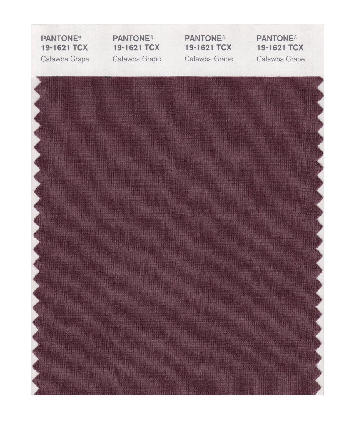 Pantone Cotton Swatch 19-1621 Catawba Grape