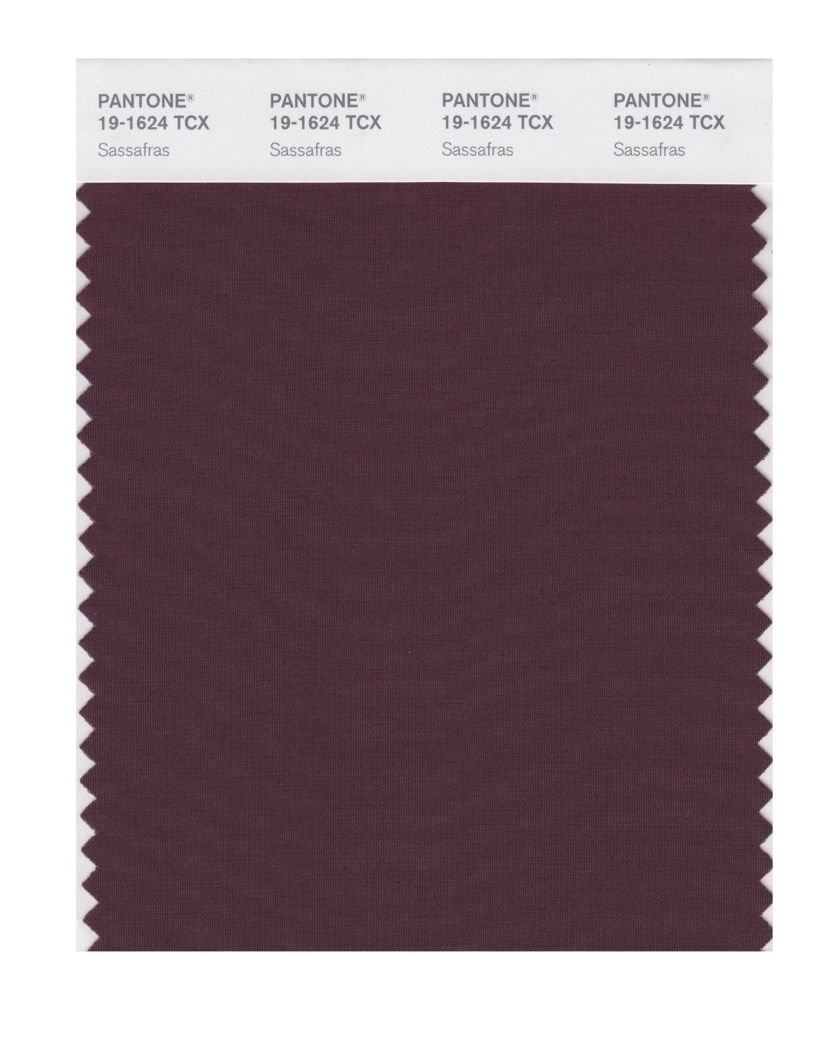 Pantone Cotton Swatch 19-1624 Sassafras