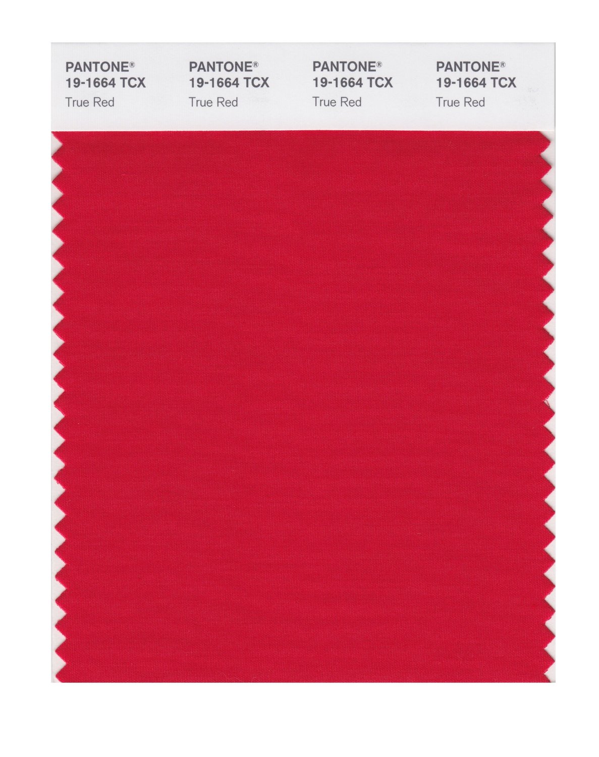 Pantone Cotton Swatch 19-1664 True Red
