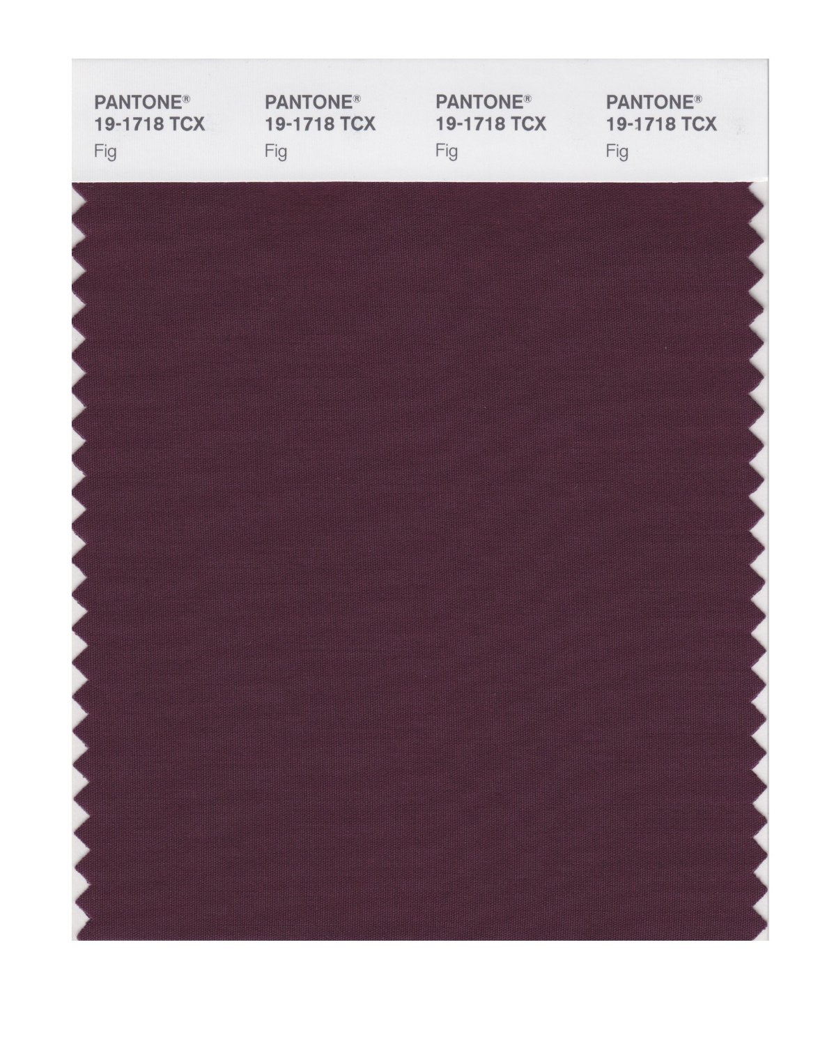 Pantone Cotton Swatch 19-1718 Fig