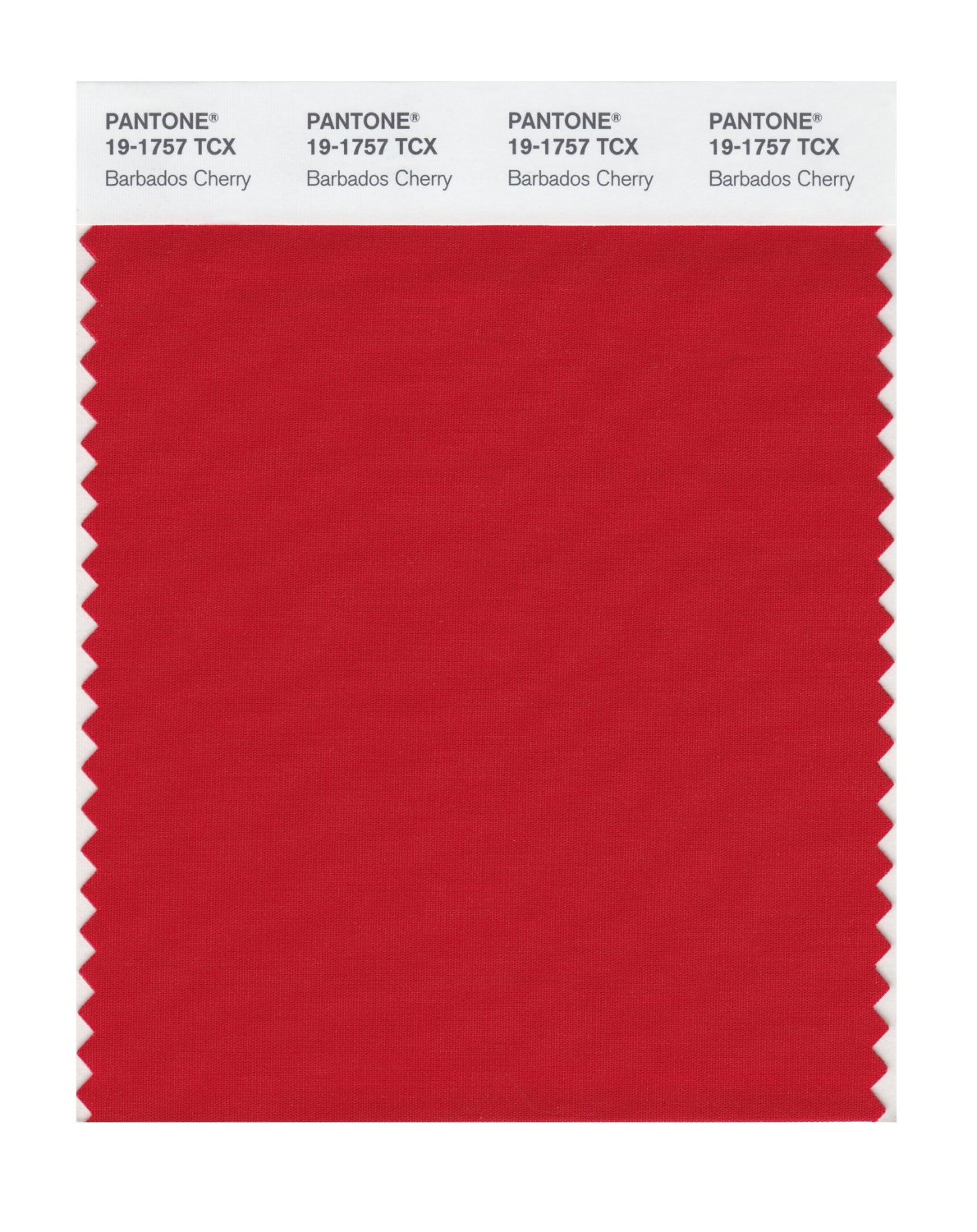 Pantone Cotton Swatch 19-1757 Barbados Cherry