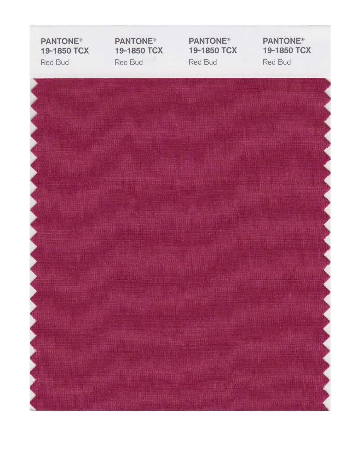 Pantone Cotton Swatch 19-1850 Red Bud