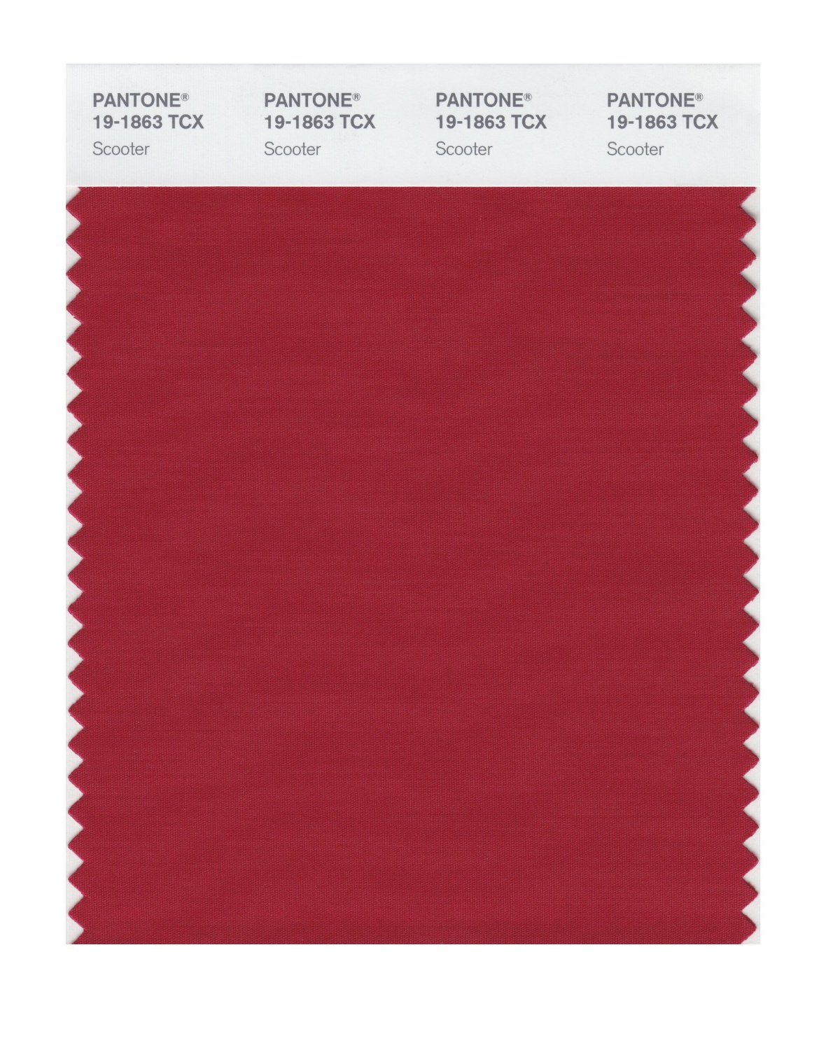 Pantone Cotton Swatch 19-1863 Scooter