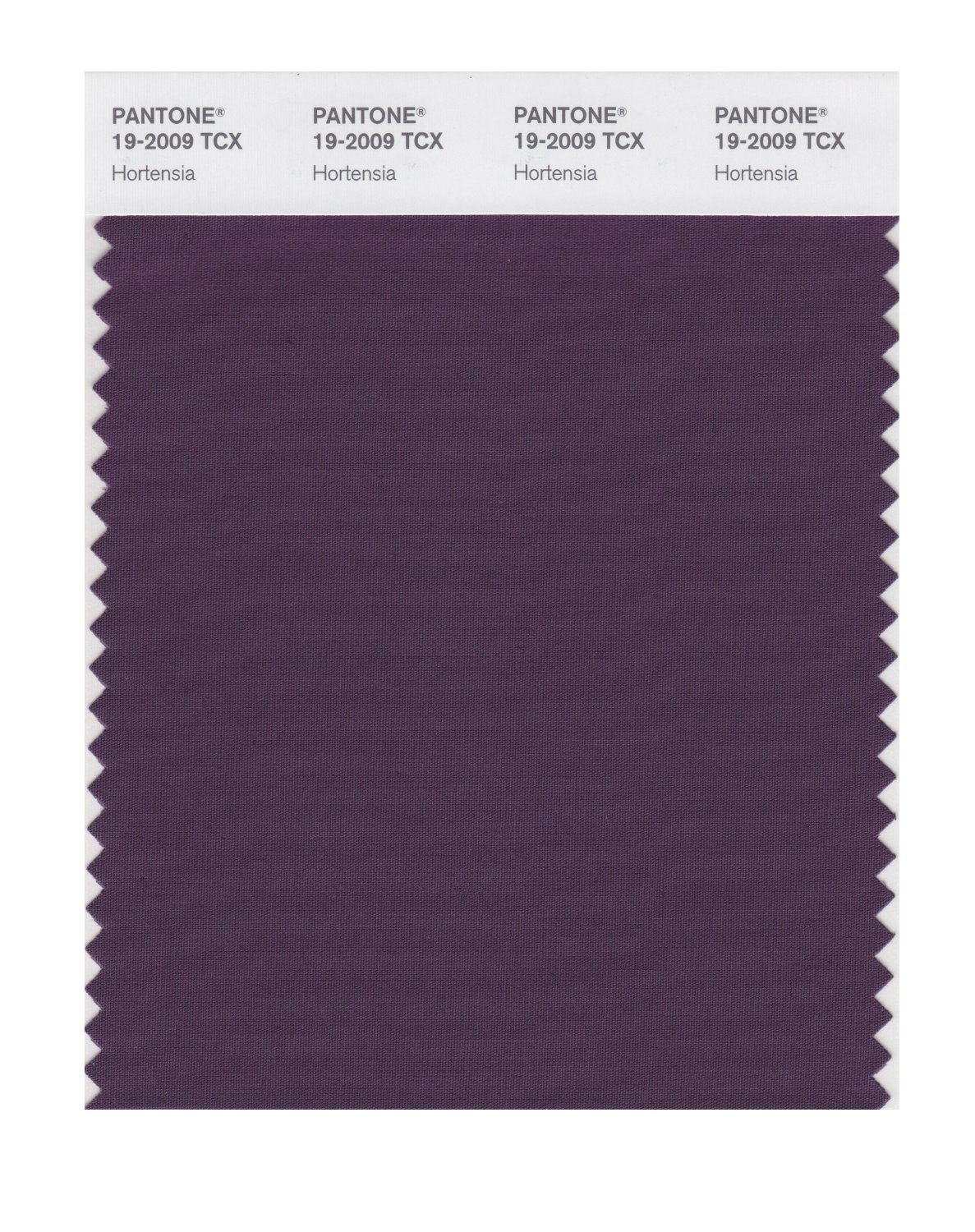 Pantone Cotton Swatch 19-2009 Hortensia