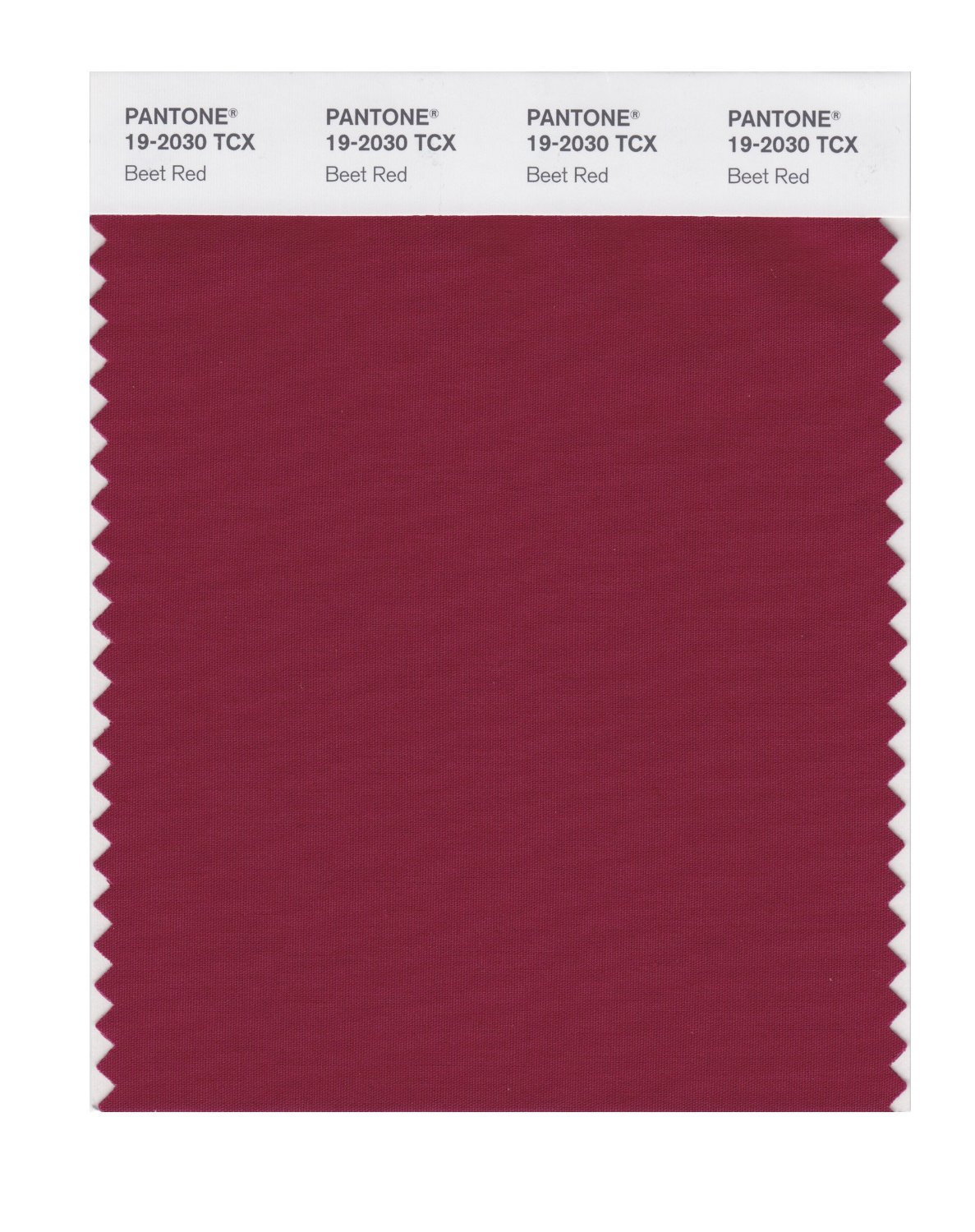 Pantone Cotton Swatch 19-2030 Beet Red