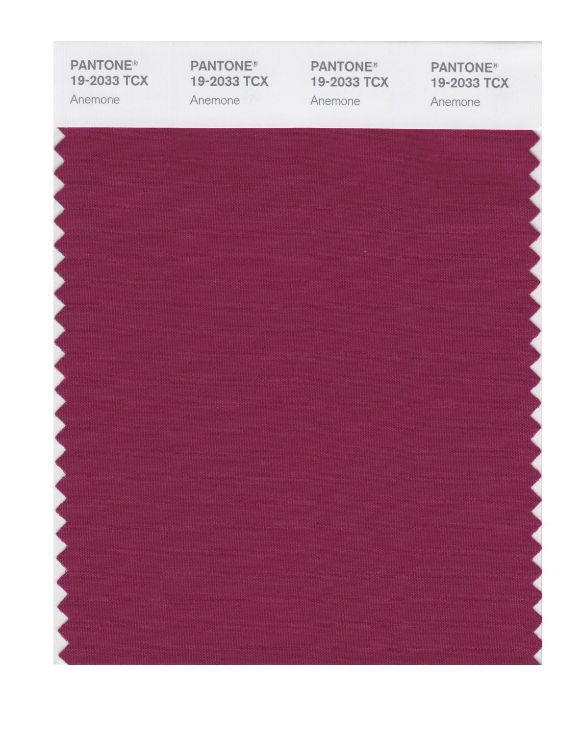 Pantone Cotton Swatch 19-2033 Anemone