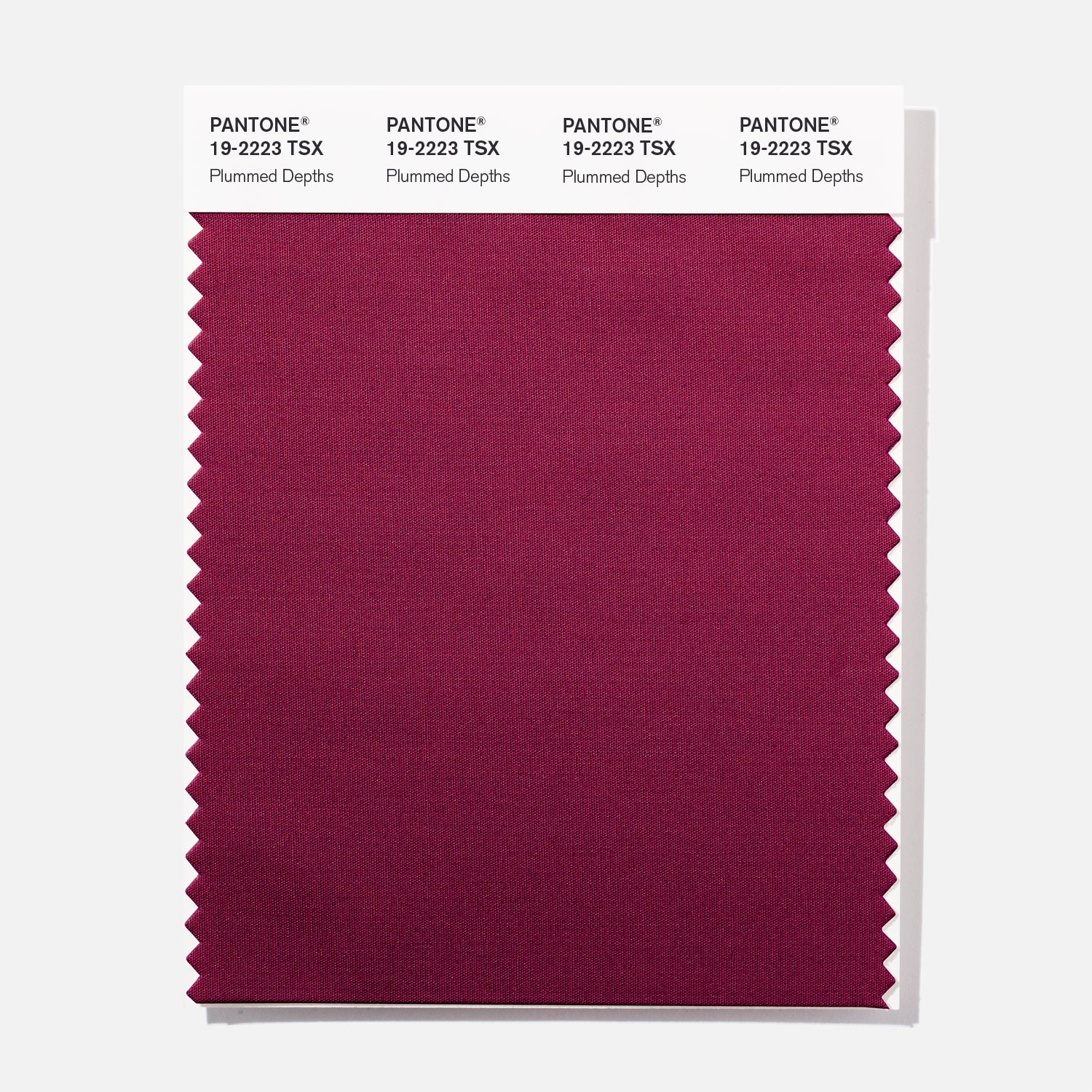 Pantone Polyester Swatch 19-2223 Plummed Dept