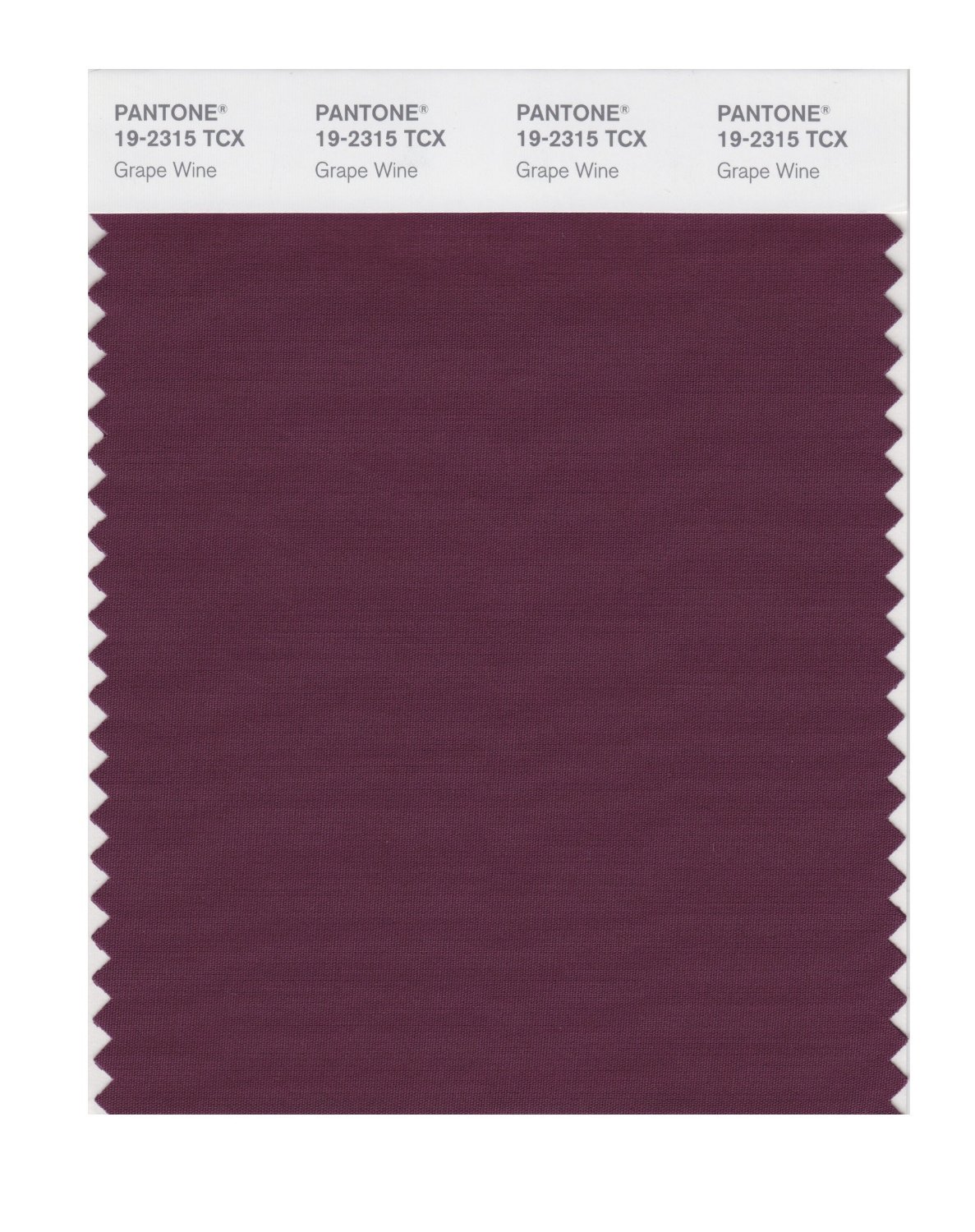 Pantone Cotton Swatch 19-2315 Grape Wine