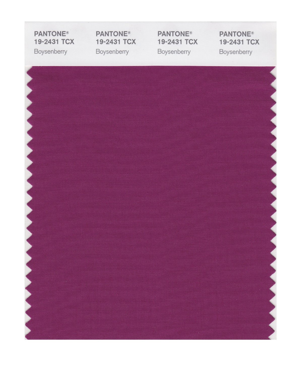 Pantone Cotton Swatch 19-2431 Boysenberry