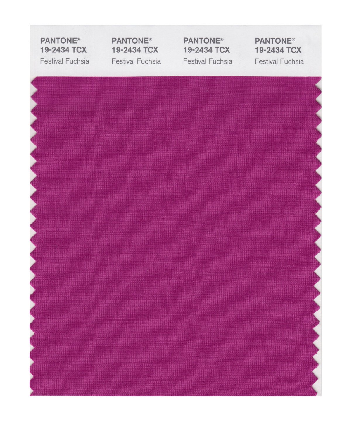 Pantone Cotton Swatch 19-2434 Festival Fuchsi