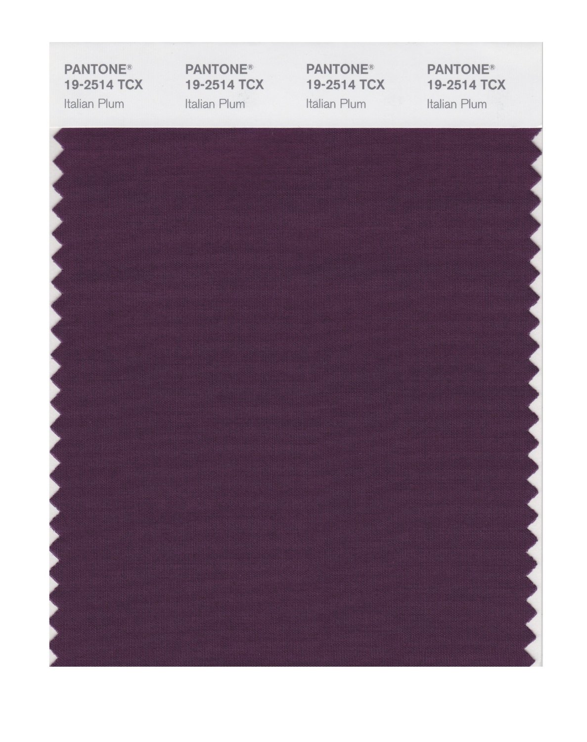 Pantone Cotton Swatch 19-2514 Italian Plum