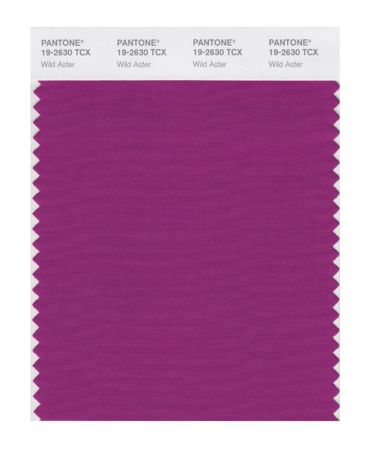 Pantone Cotton Swatch 19-2630 Wild Aster