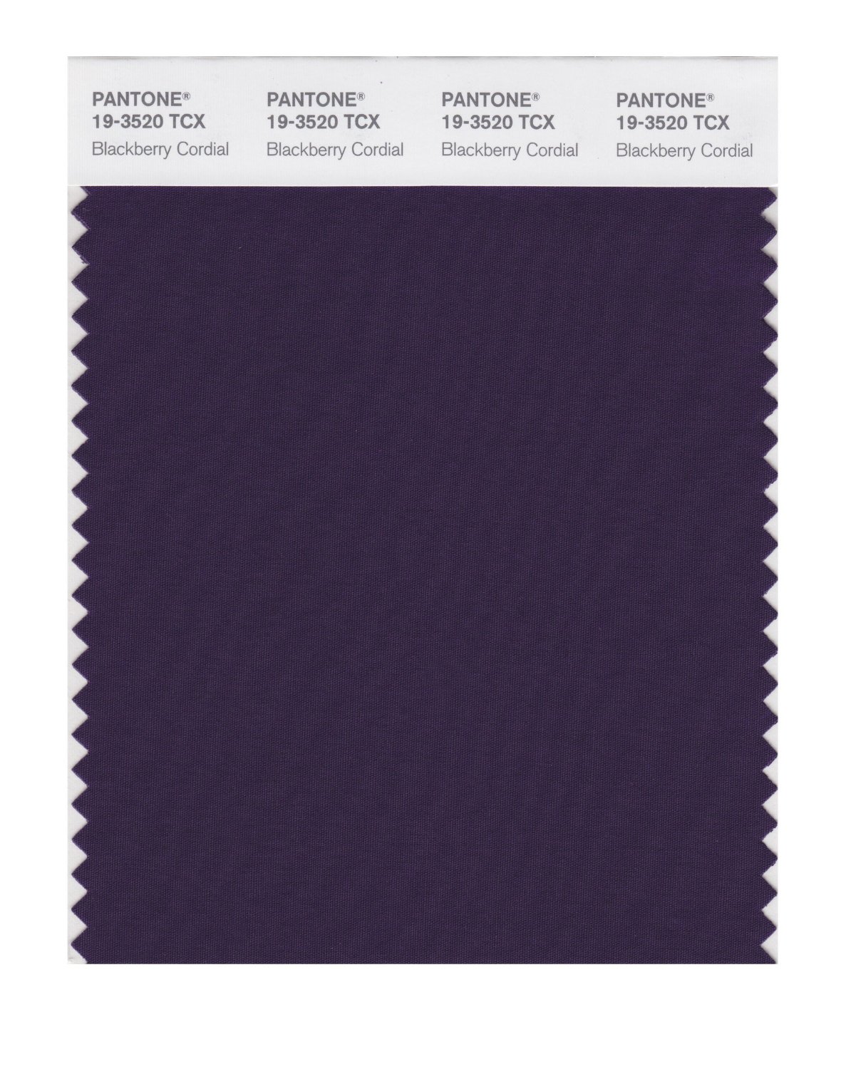 Pantone Cotton Swatch 19-3520 Blkbry Cordial