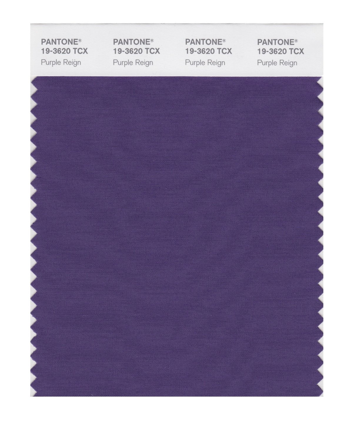 Pantone Cotton Swatch 19-3620 Purple Reign