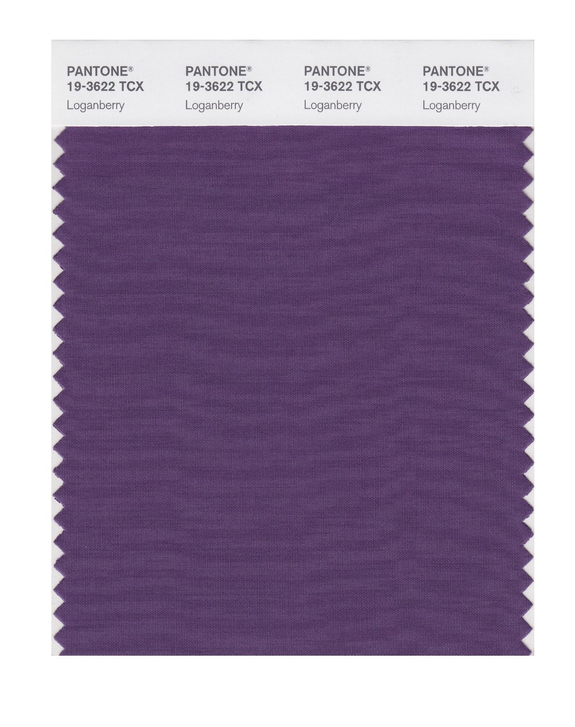 Pantone Cotton Swatch 19-3622 Loganberry