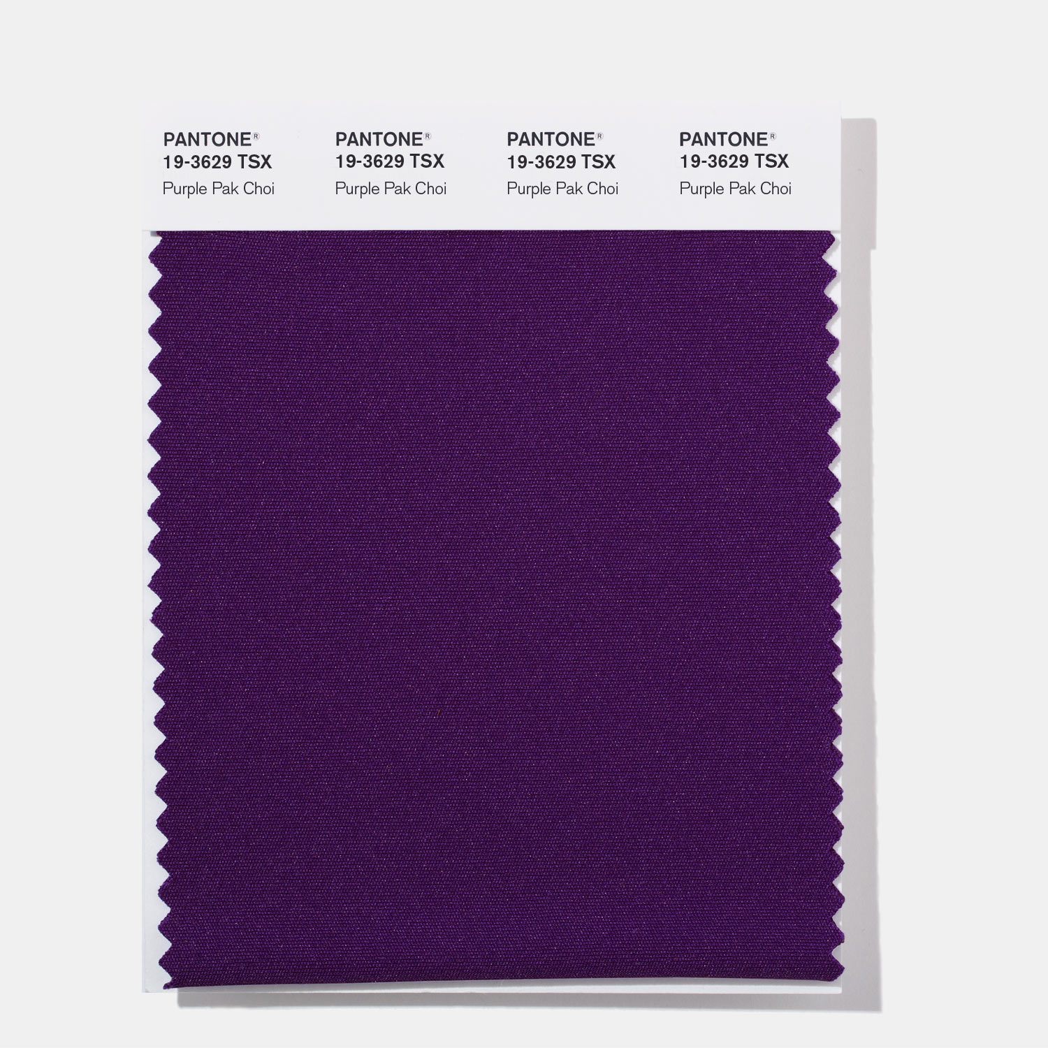 Pantone Polyester Swatch 19-3629 Purple Pak C
