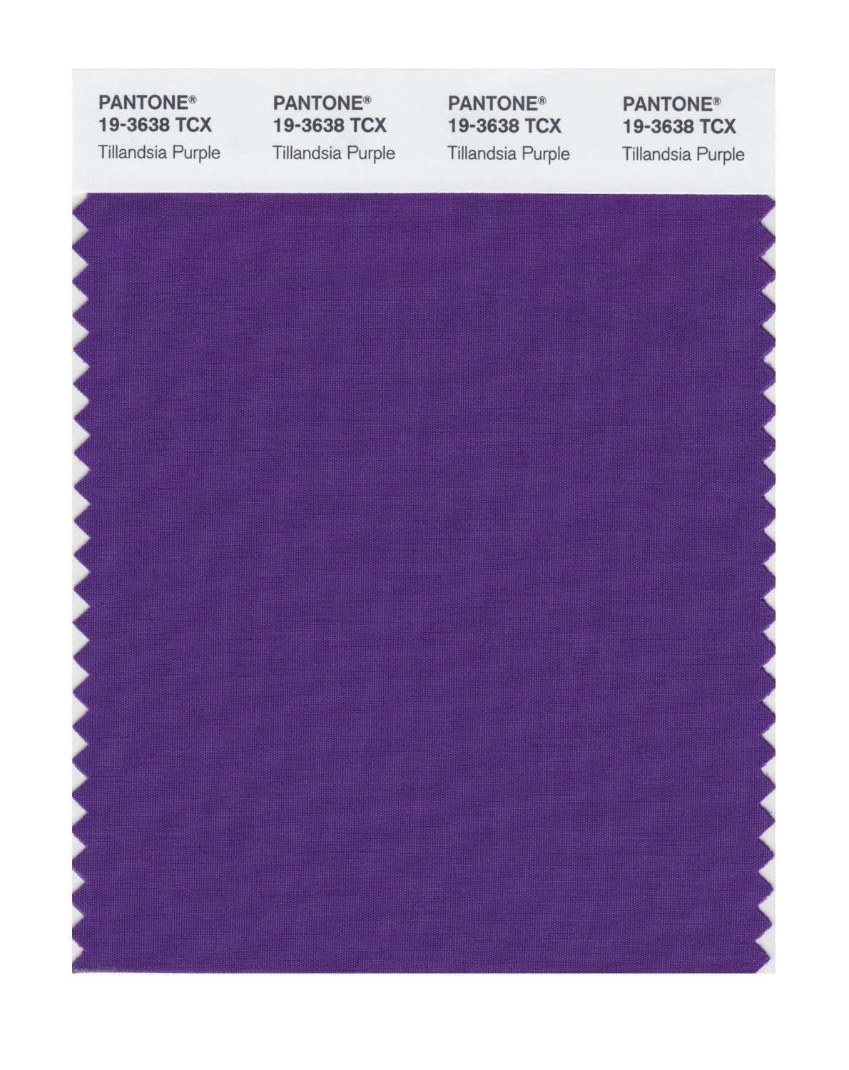 Pantone Cotton Swatch 19-3638 Tillandsia Purp