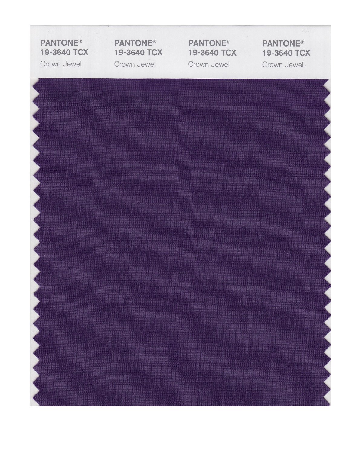 Pantone Cotton Swatch 19-3640 Crown Jewel