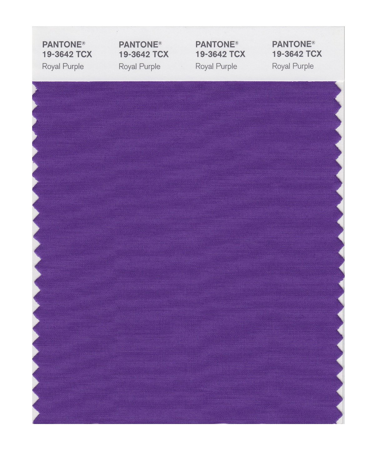 Pantone Cotton Swatch 19-3642 Royal Purple