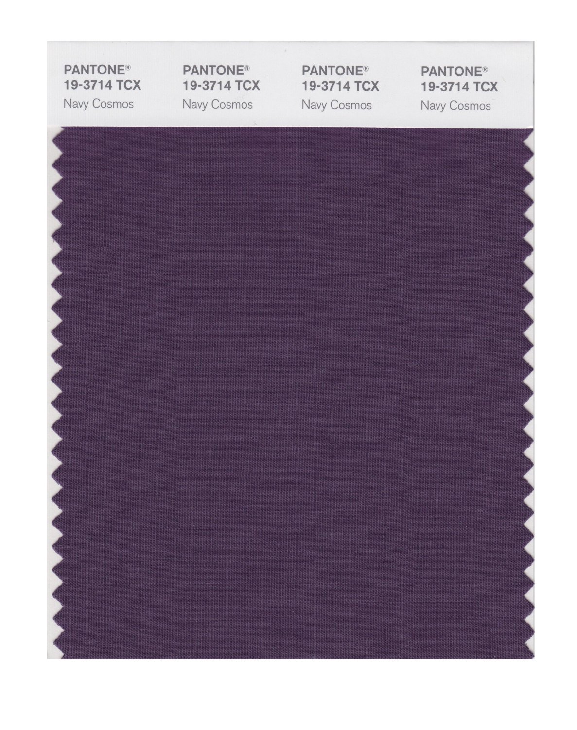 Pantone Cotton Swatch 19-3714 Navy Cosmos