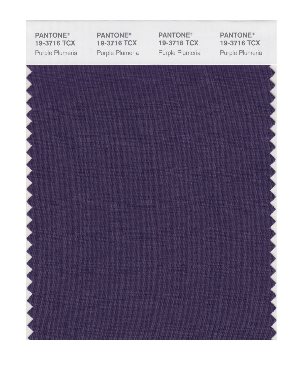 Pantone Cotton Swatch 19-3716 Purple Plumeria