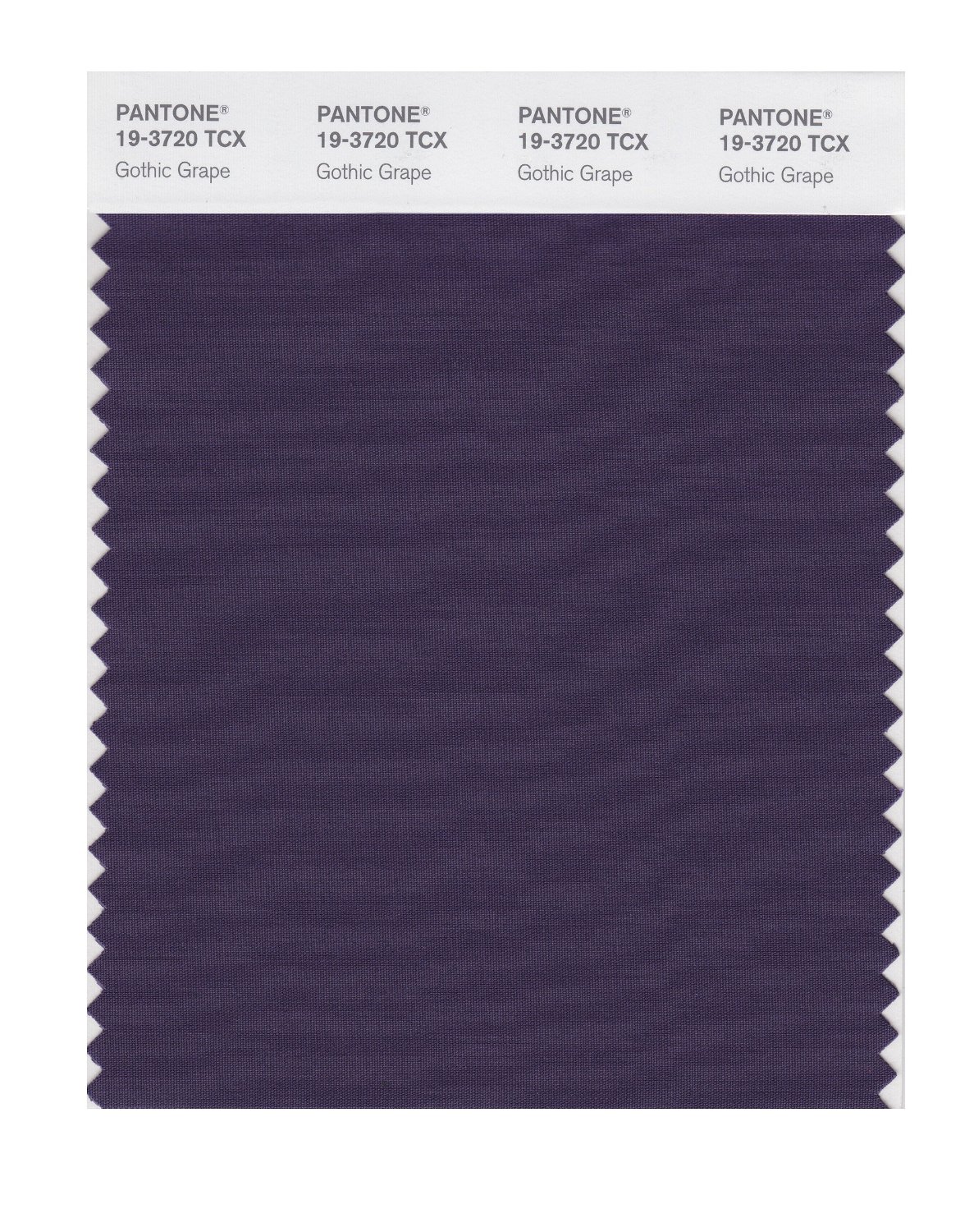 Pantone Cotton Swatch 19-3720 Gothic Grape